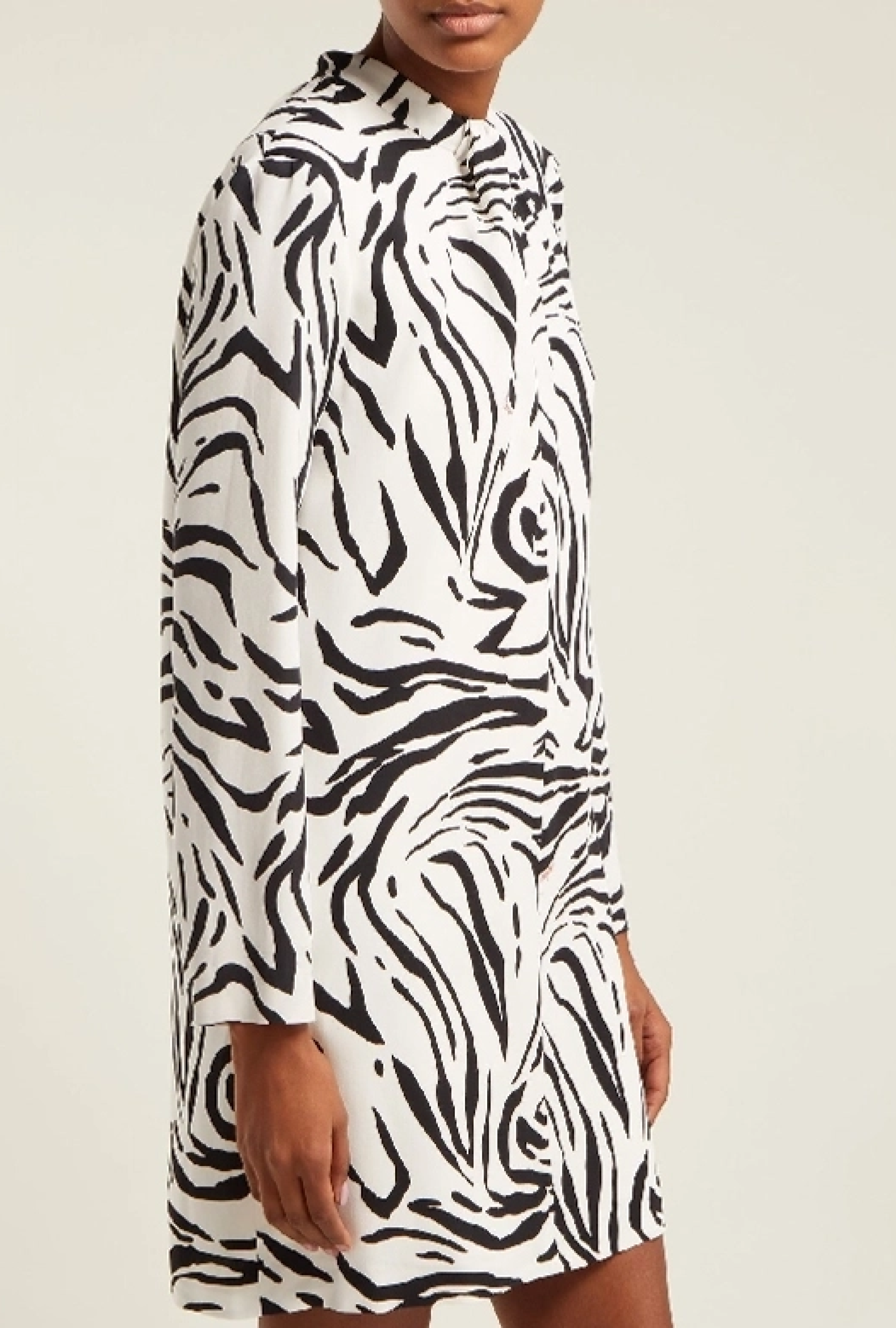 Robe Zebra