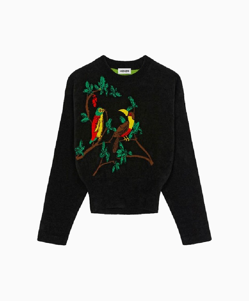 Pull Kenzo Tapestry Of Birds