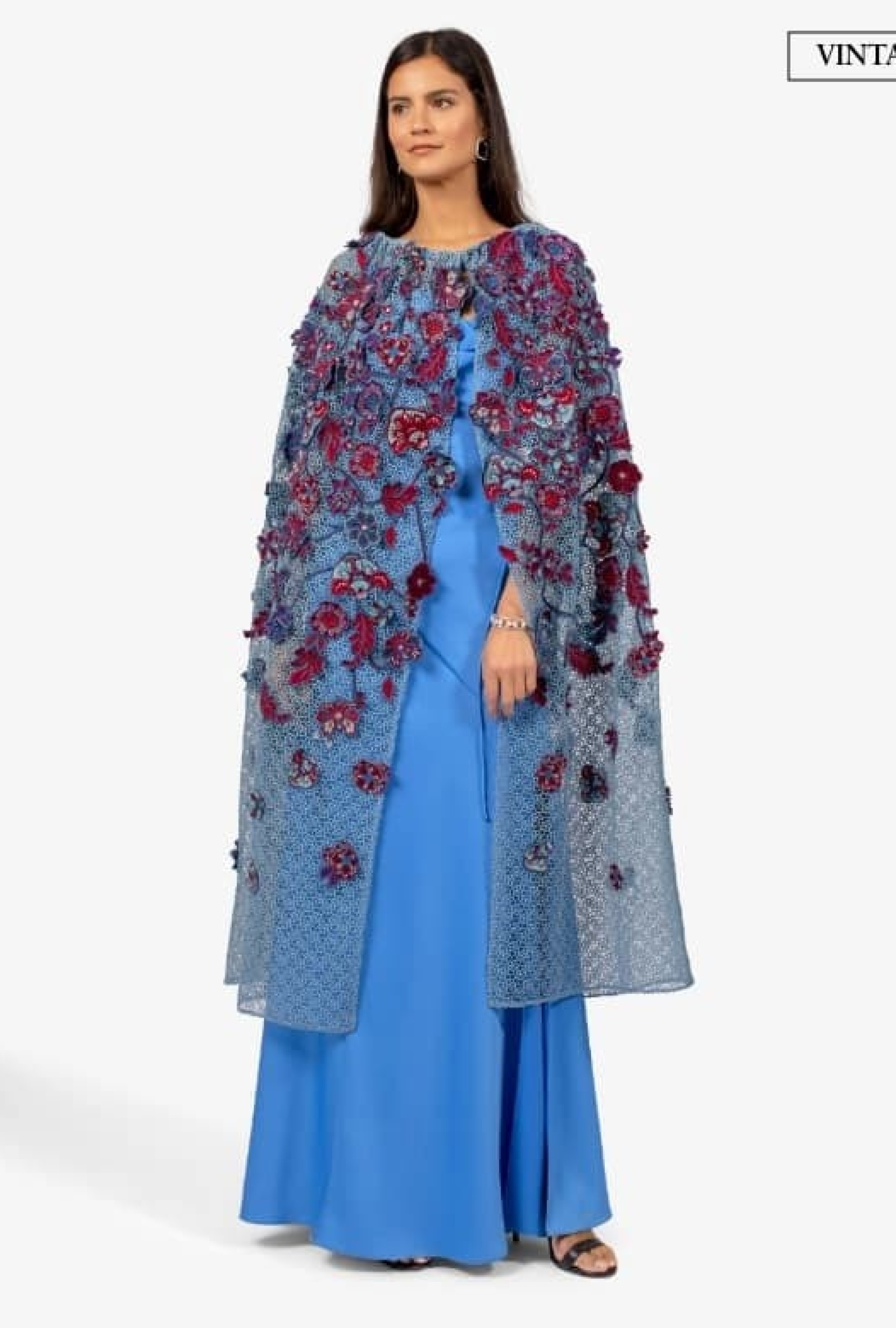 Cape Flower Blue Lace