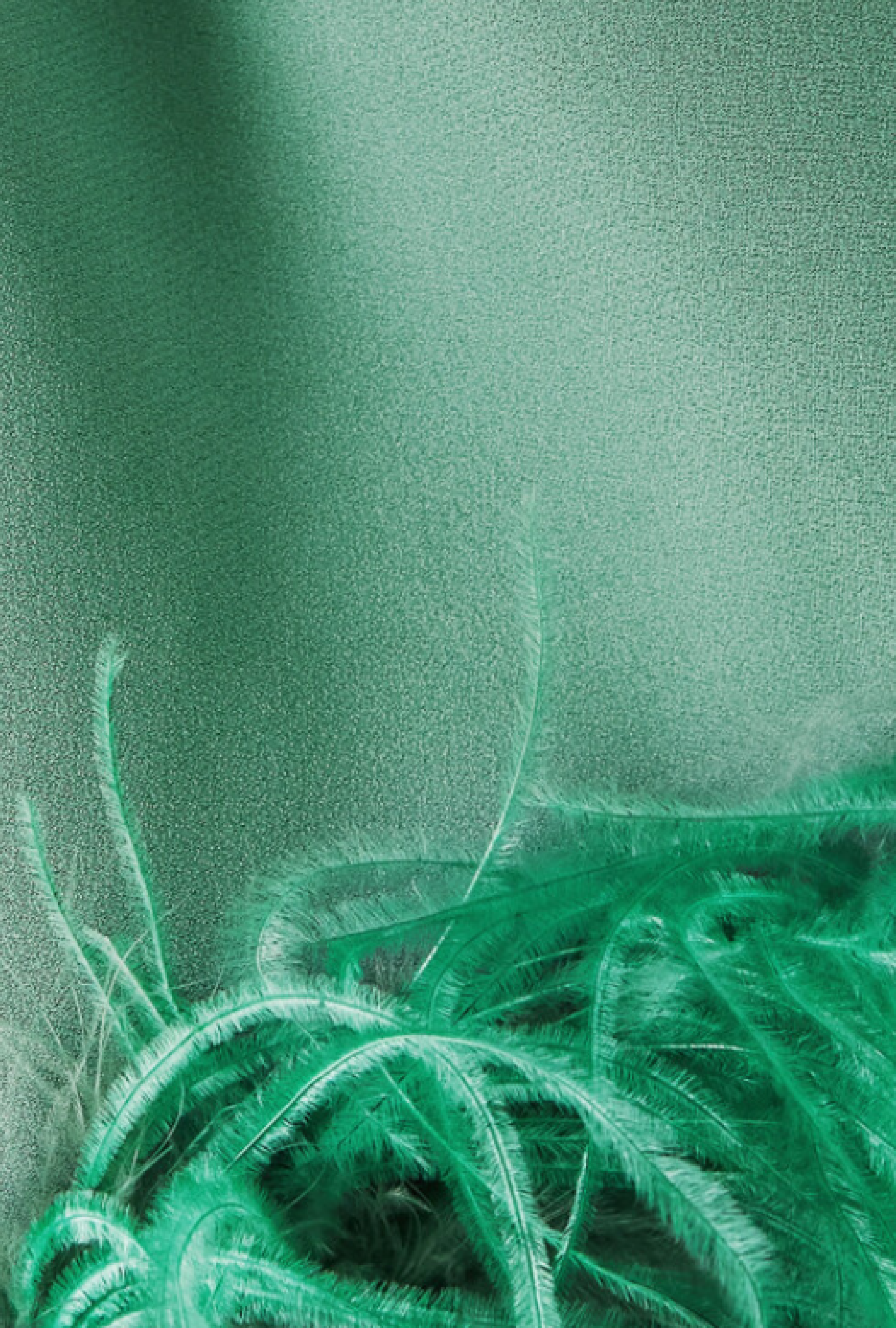 Robe Plumes Piccolo Ubud Verte