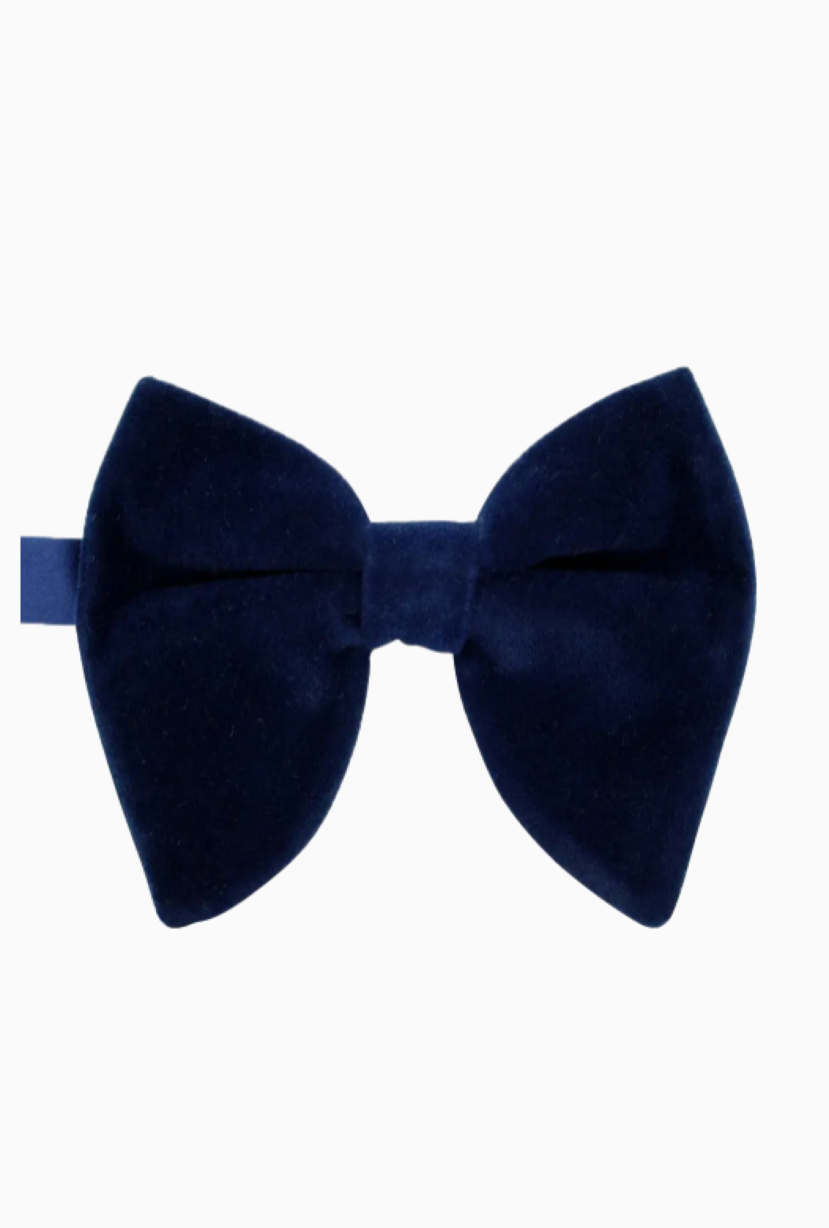 Noeud Papillon Butterfly Blue