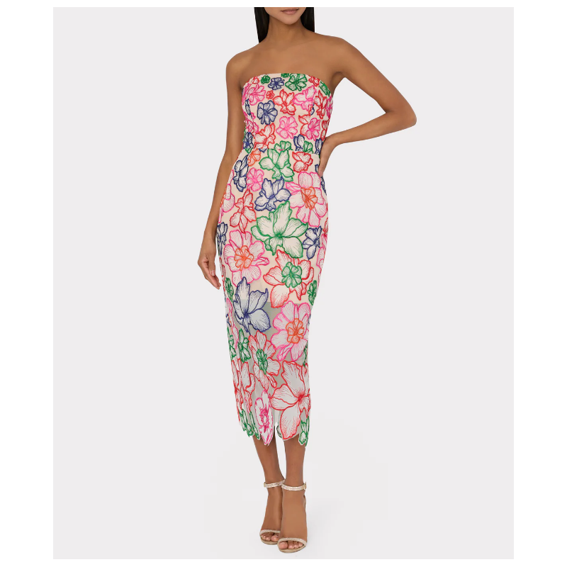 Robe Milly Cascading Floral Embroidered