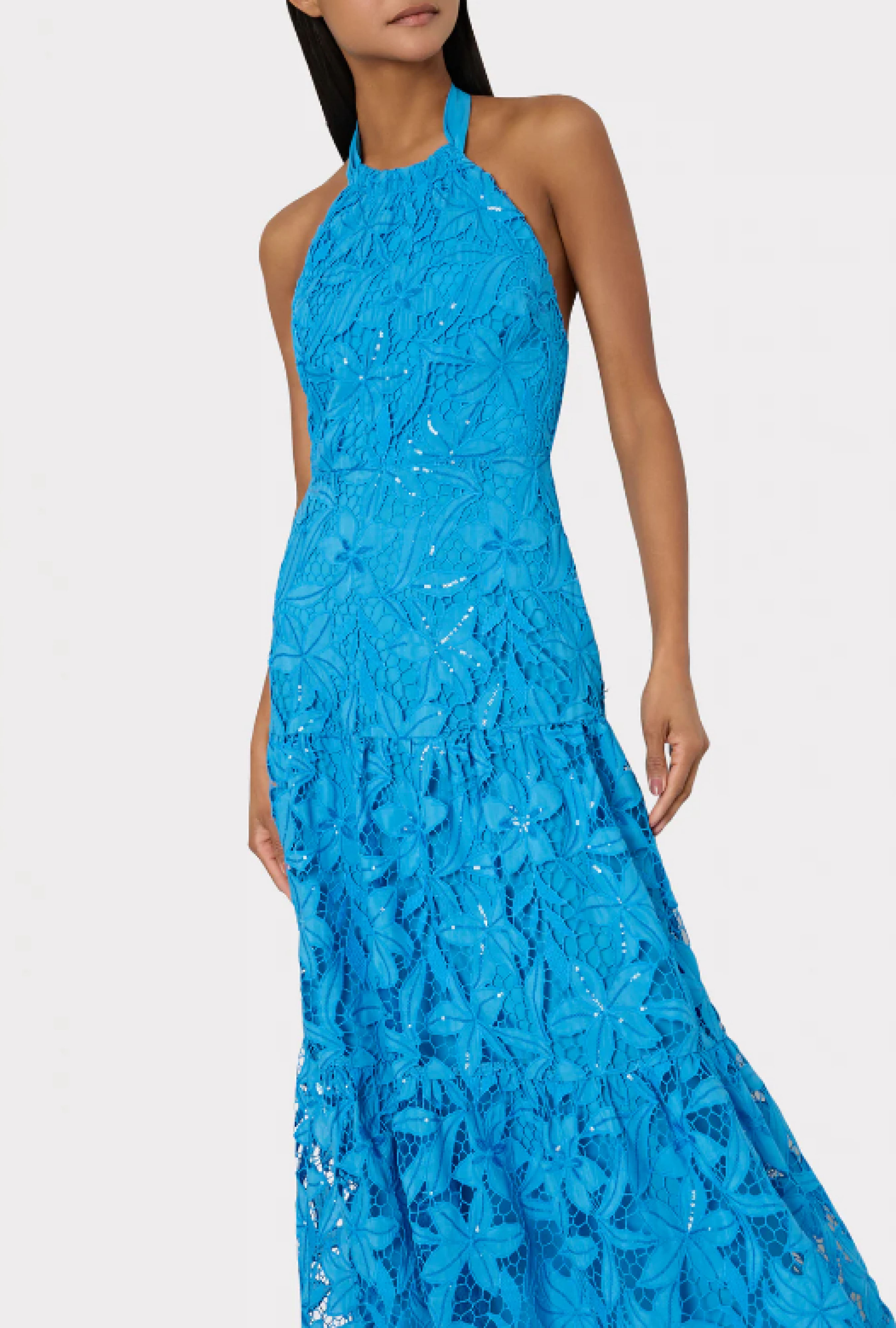 Robe Hayden Sequin Embellished