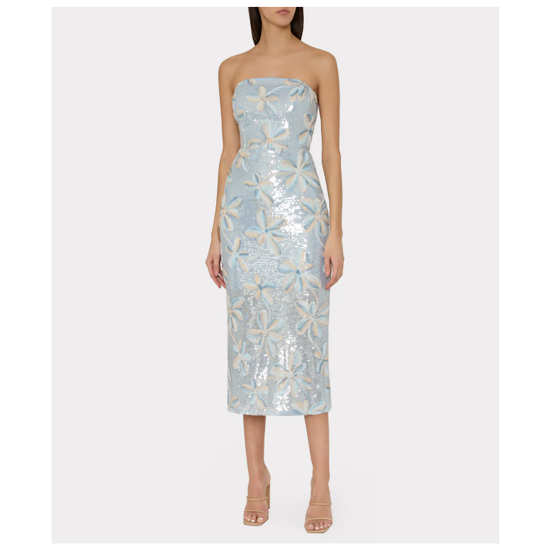 Robe Milly Floral Embroidery Sequin