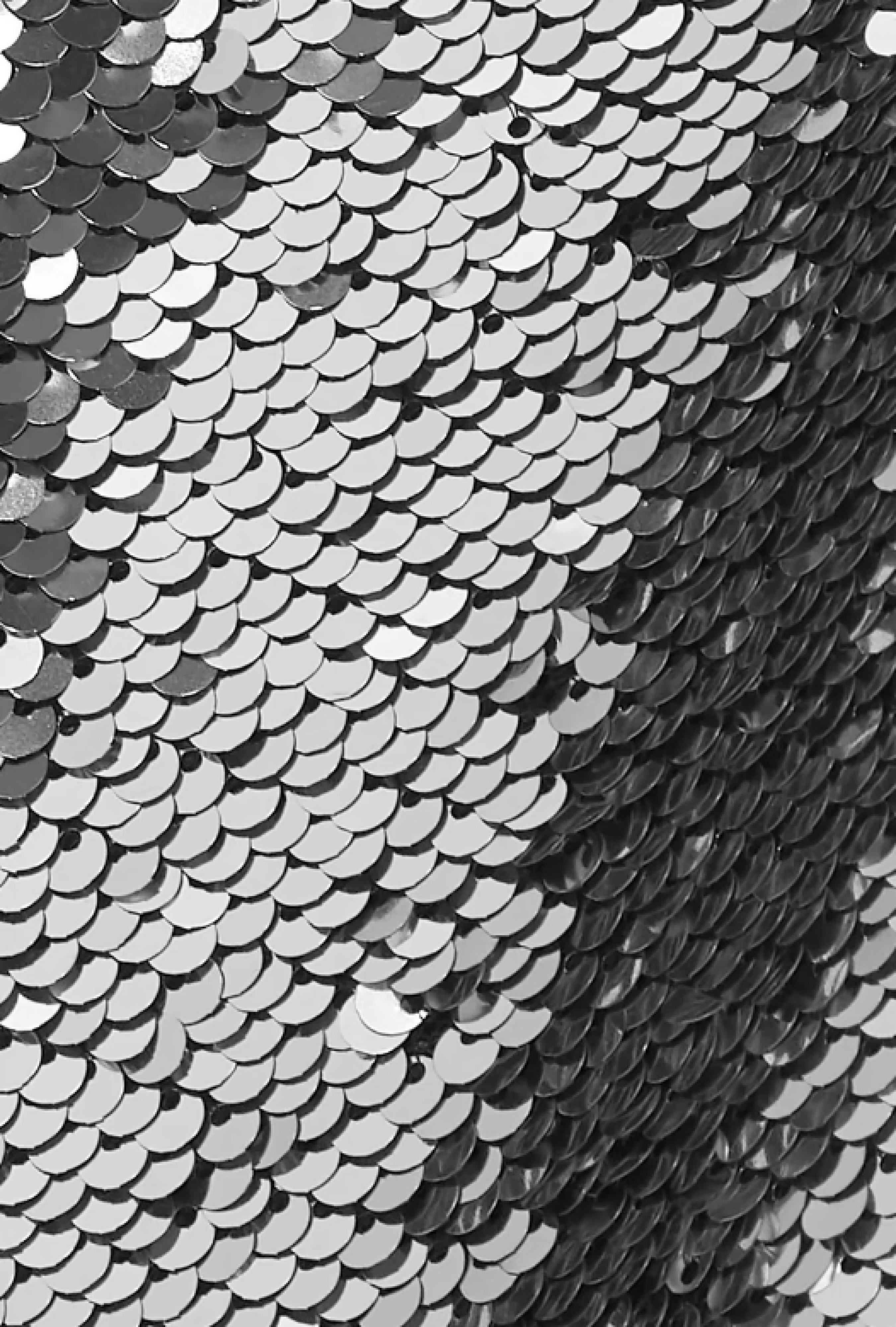 Robe Silver Pre Fall 2019