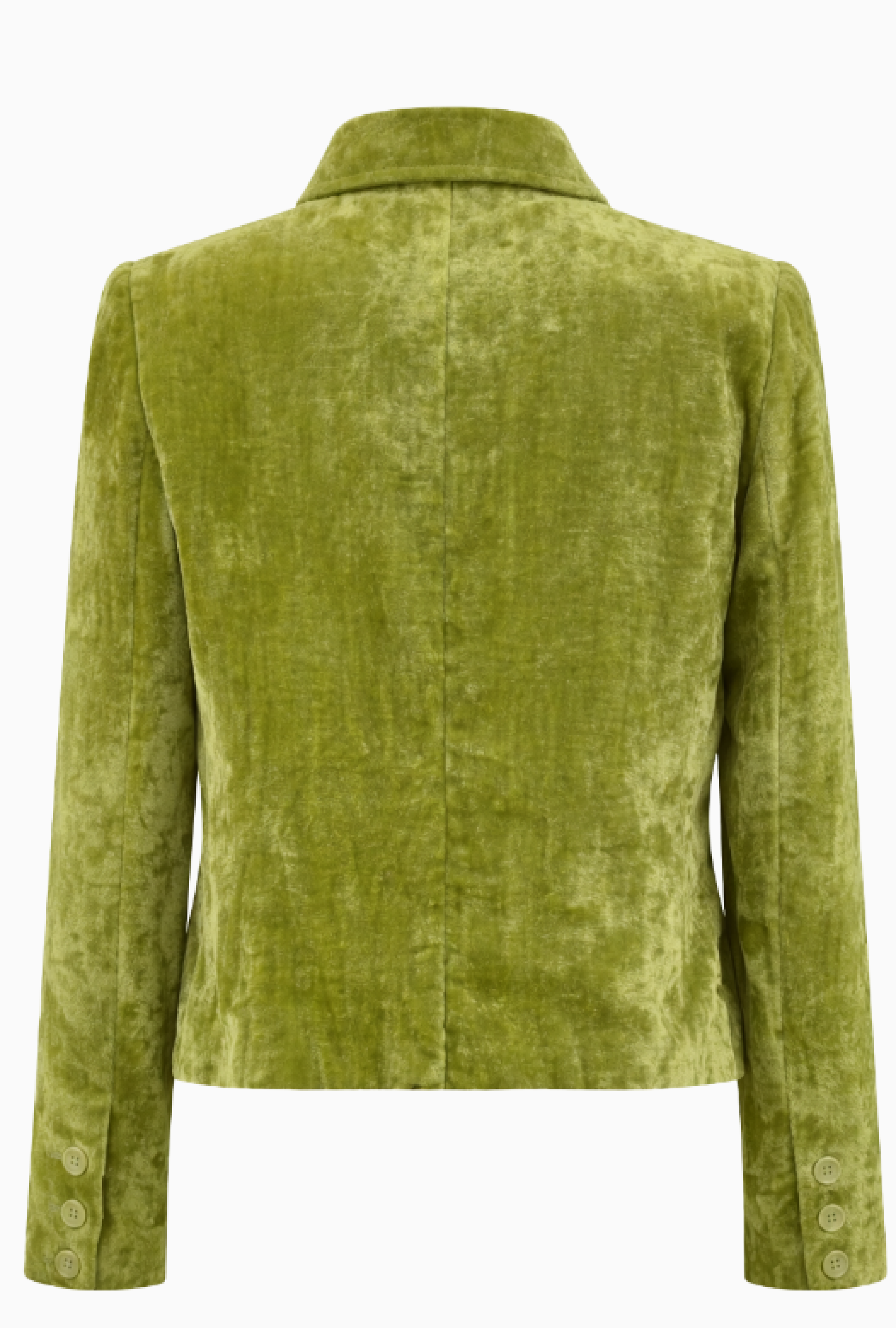 Veste Velours Vert Vintage Ana Molinari